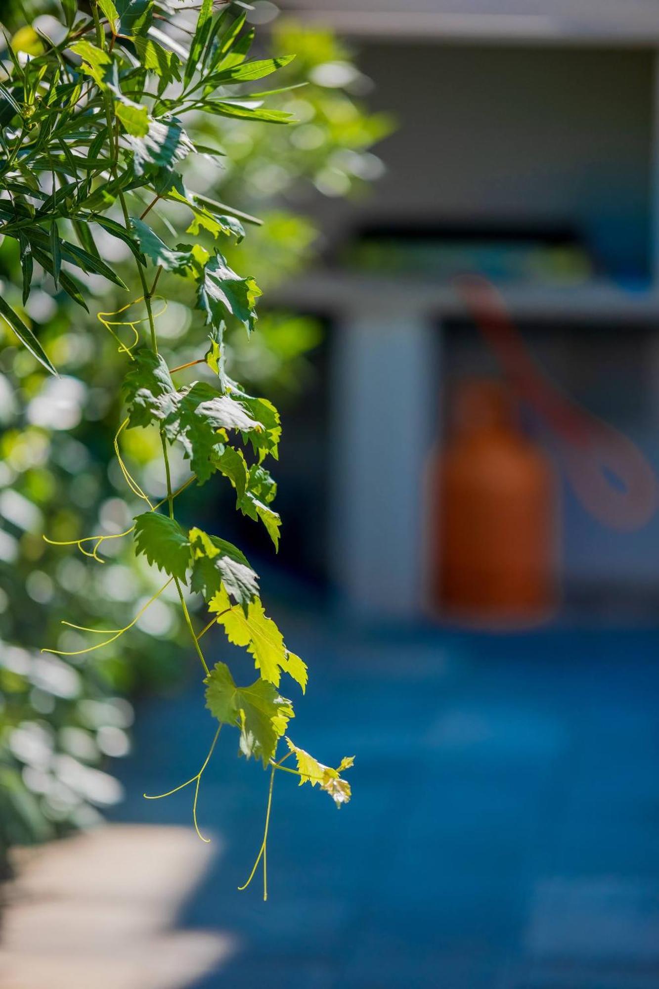 Villa Essenza - Luksuzne Kuce Za Odmor โวดีเซ ภายนอก รูปภาพ